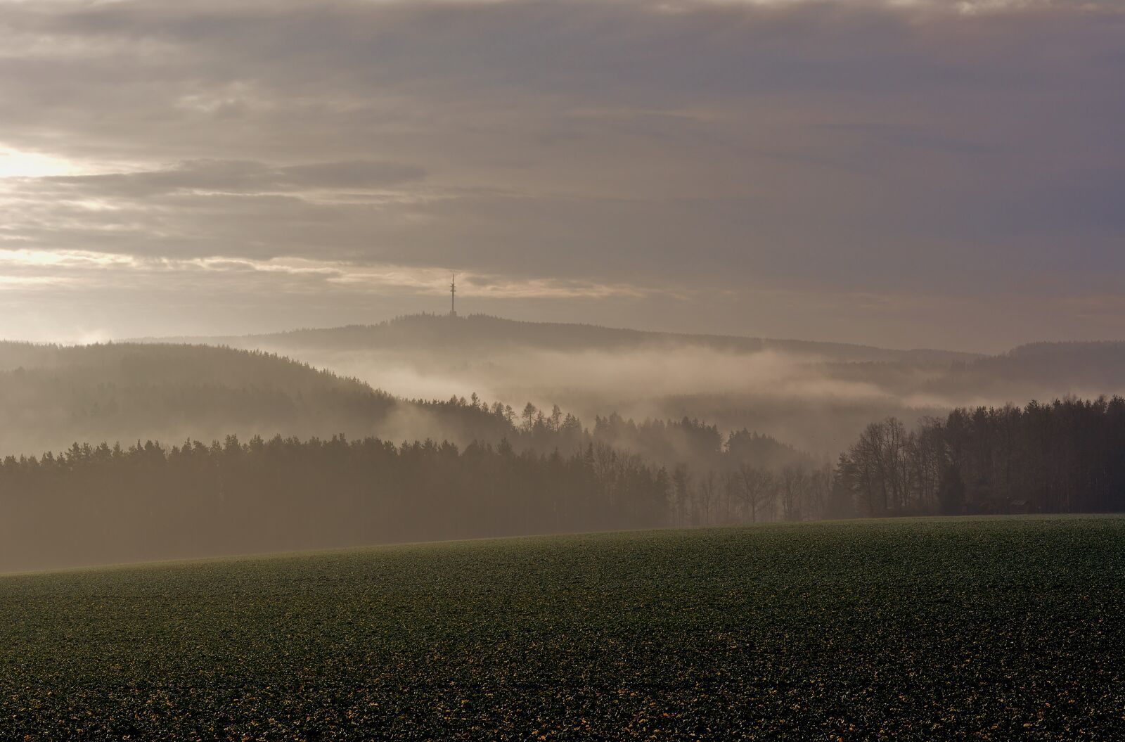 Nikon D5200 sample photo. Landscape, vogtland, cow mountain photography