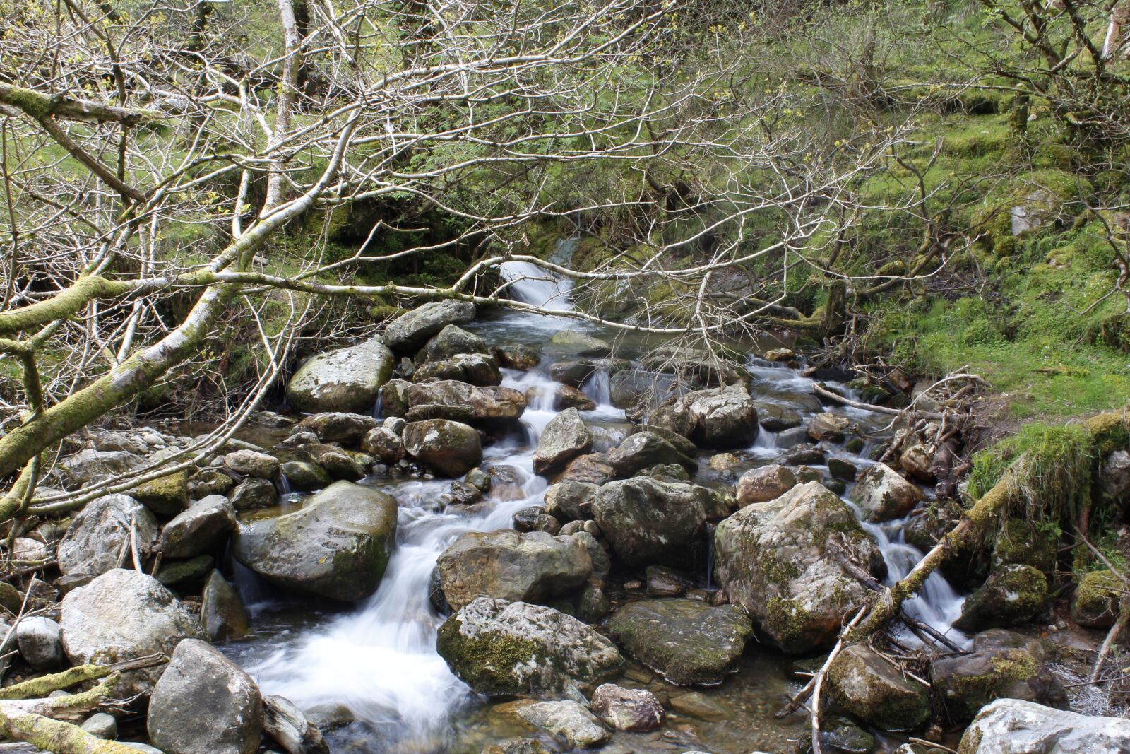 Canon EOS 600D (Rebel EOS T3i / EOS Kiss X5) sample photo. Ireland, wicklow, glendalough photography