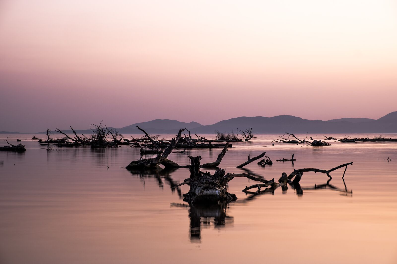 Fujifilm X-T20 sample photo. Sunset, sea, logs photography