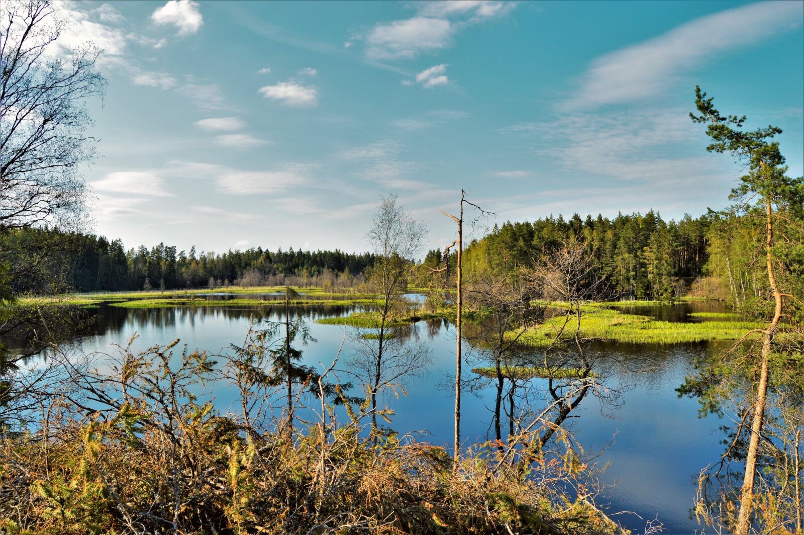 Nikon D3200 sample photo. Lake, water, mirroring photography