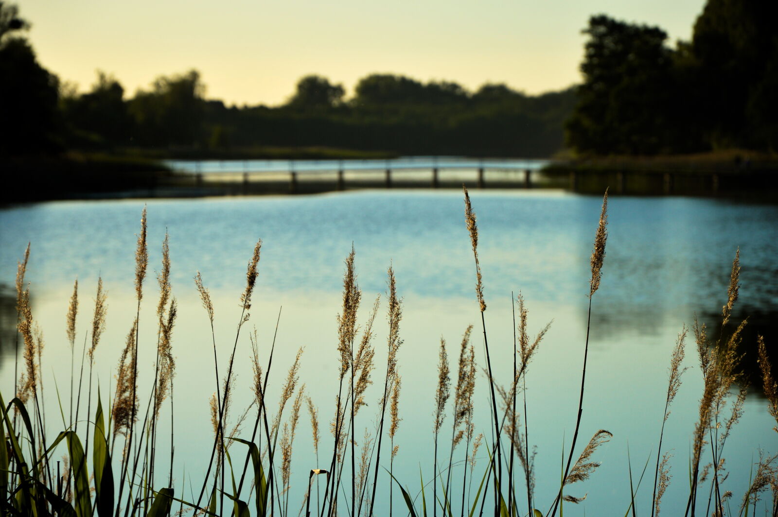 Nikon D3200 sample photo. Lake, nature photography