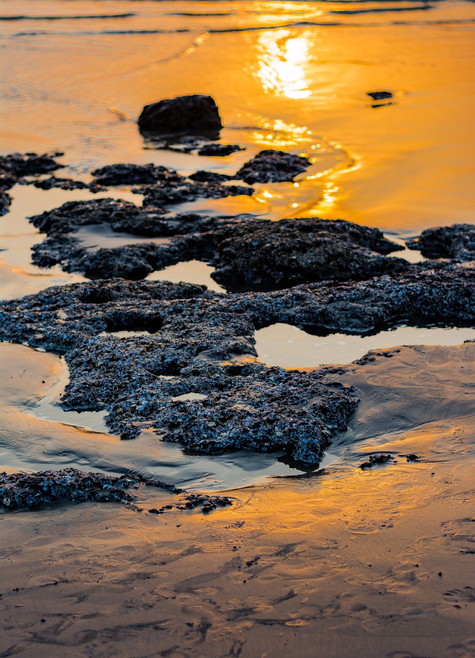Nikon D5200 sample photo. Sunset, beach, ocean photography