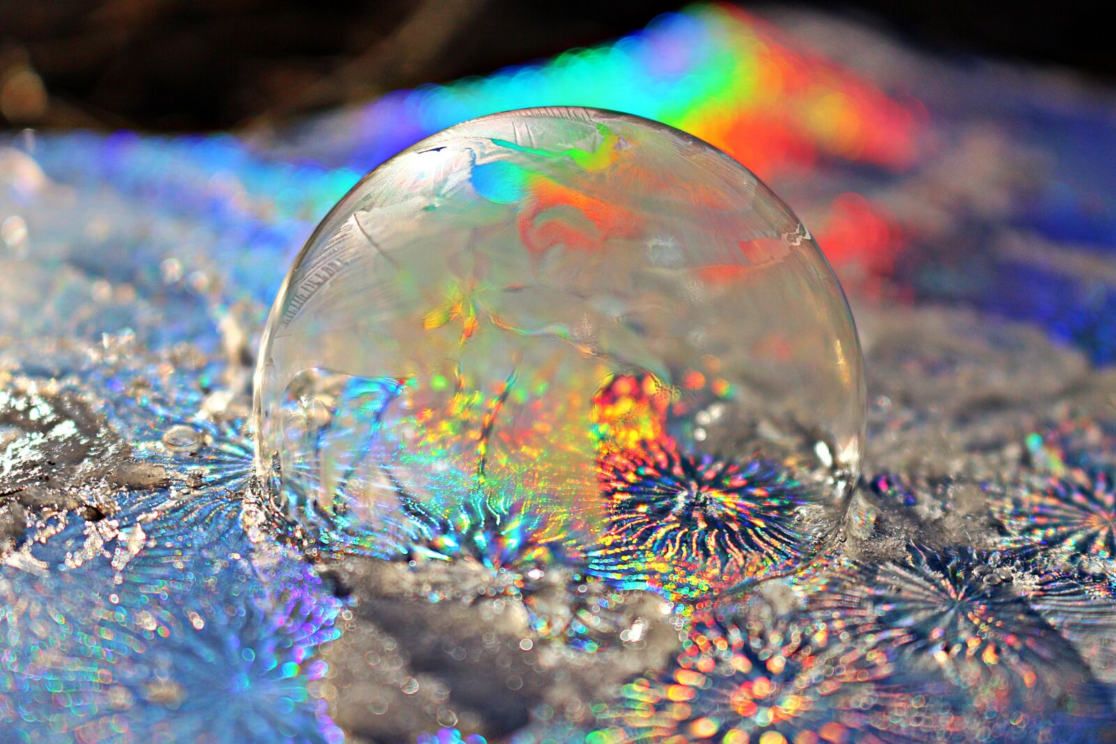 Canon EOS 100D (EOS Rebel SL1 / EOS Kiss X7) sample photo. Frost bubble, rainbow, soap photography