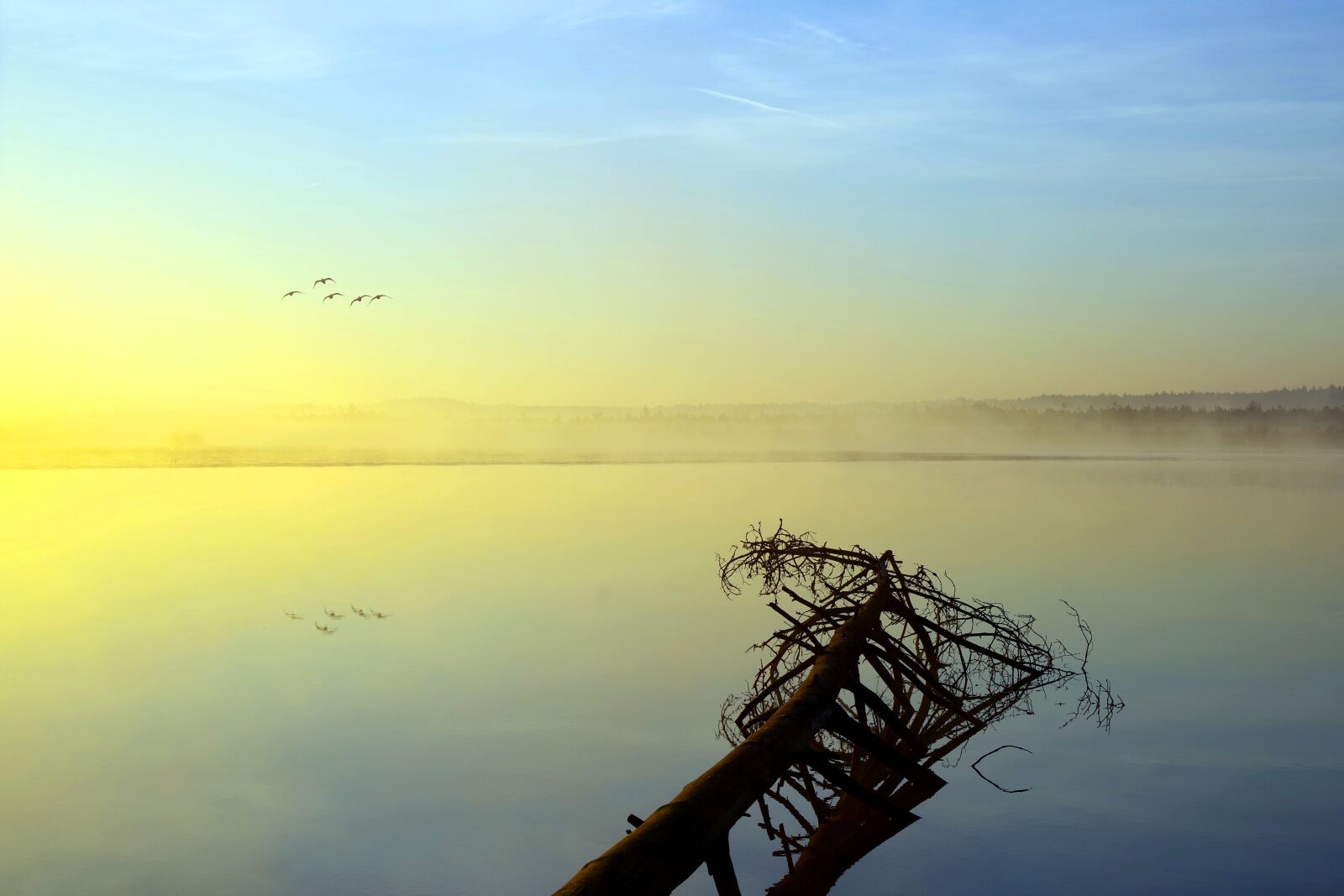 Pentax K-1 sample photo. The fog, reflection, landscape photography