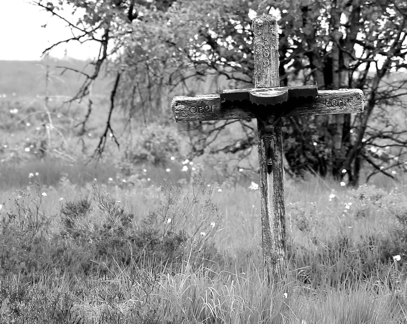 Canon EOS 550D (EOS Rebel T2i / EOS Kiss X4) sample photo. Cross, monochrome, tree, grass photography