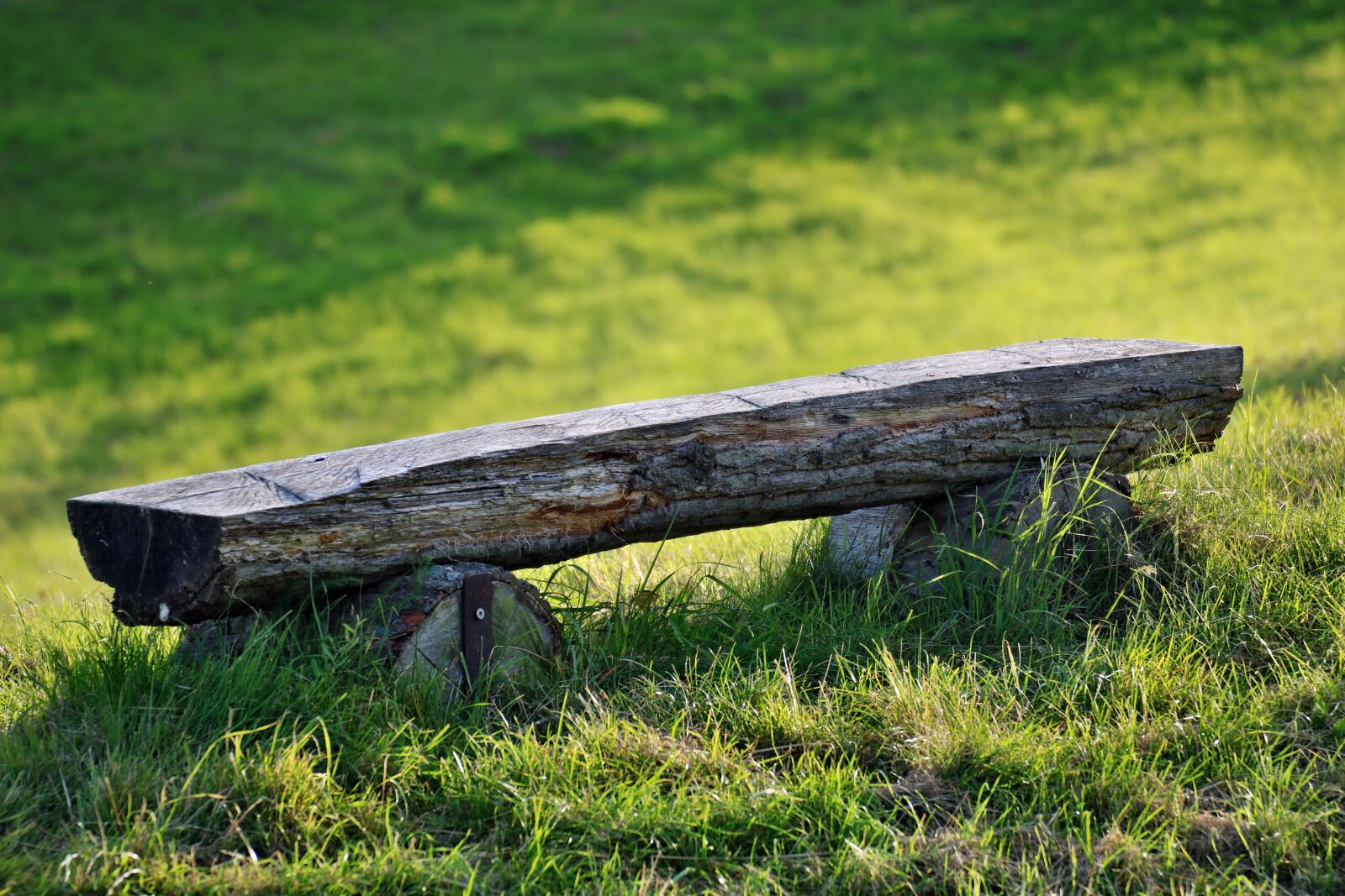 Canon EOS 750D (EOS Rebel T6i / EOS Kiss X8i) sample photo. Bank, rest, nature photography