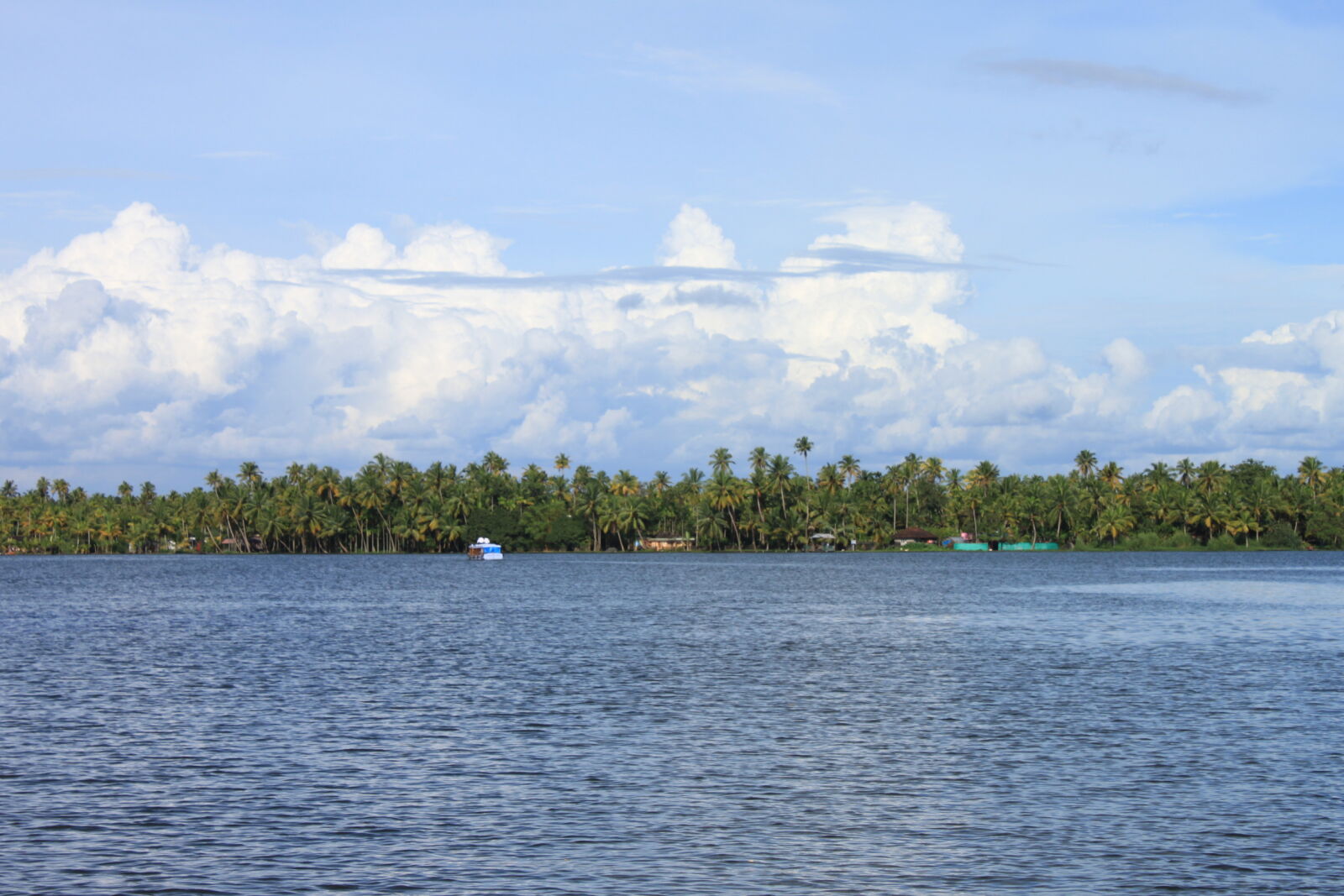 Canon EOS 500D (EOS Rebel T1i / EOS Kiss X3) sample photo. A, network, of, tranquil photography