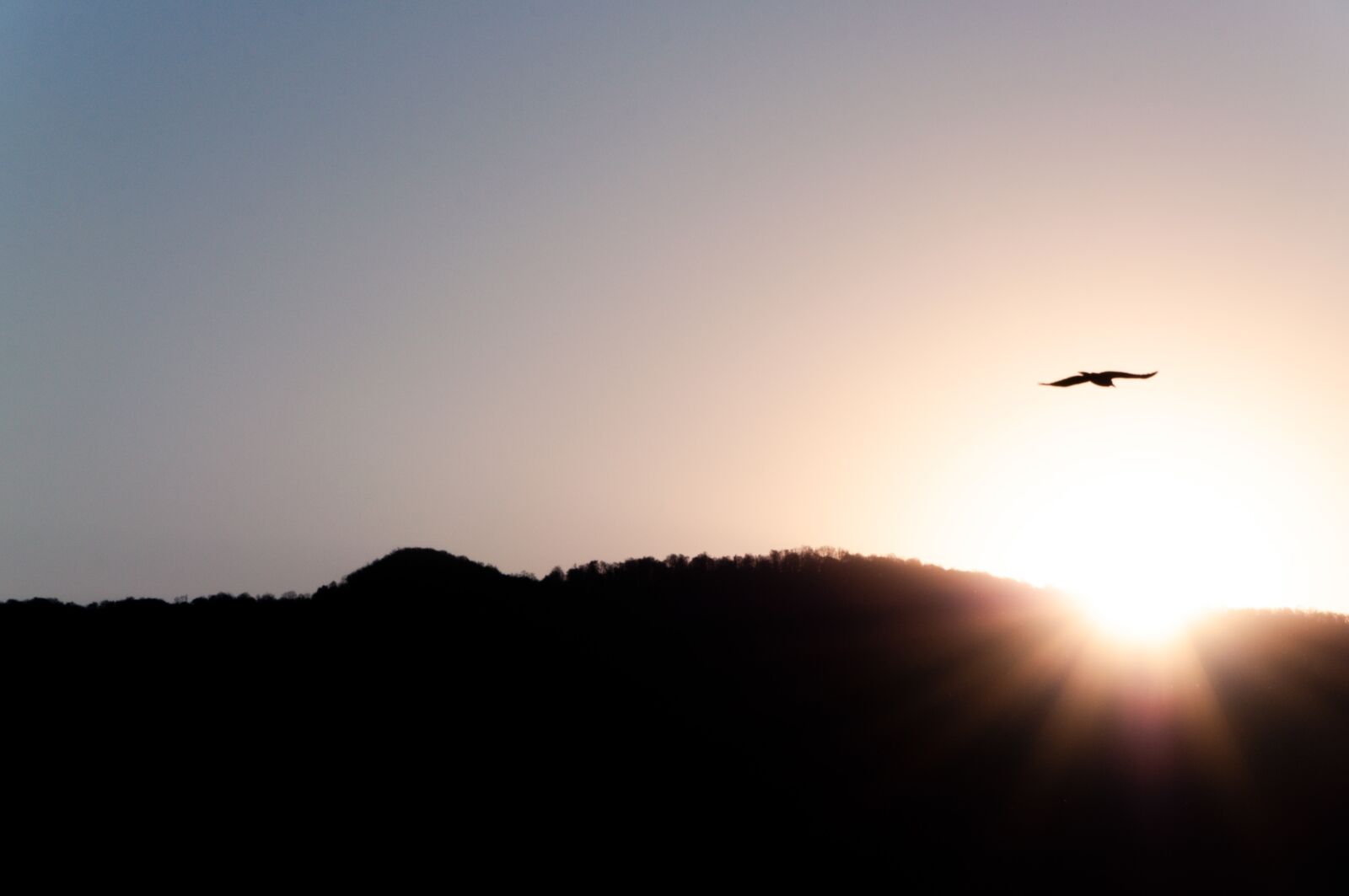 Nikon D90 sample photo. Sunrise, mountain, nature photography