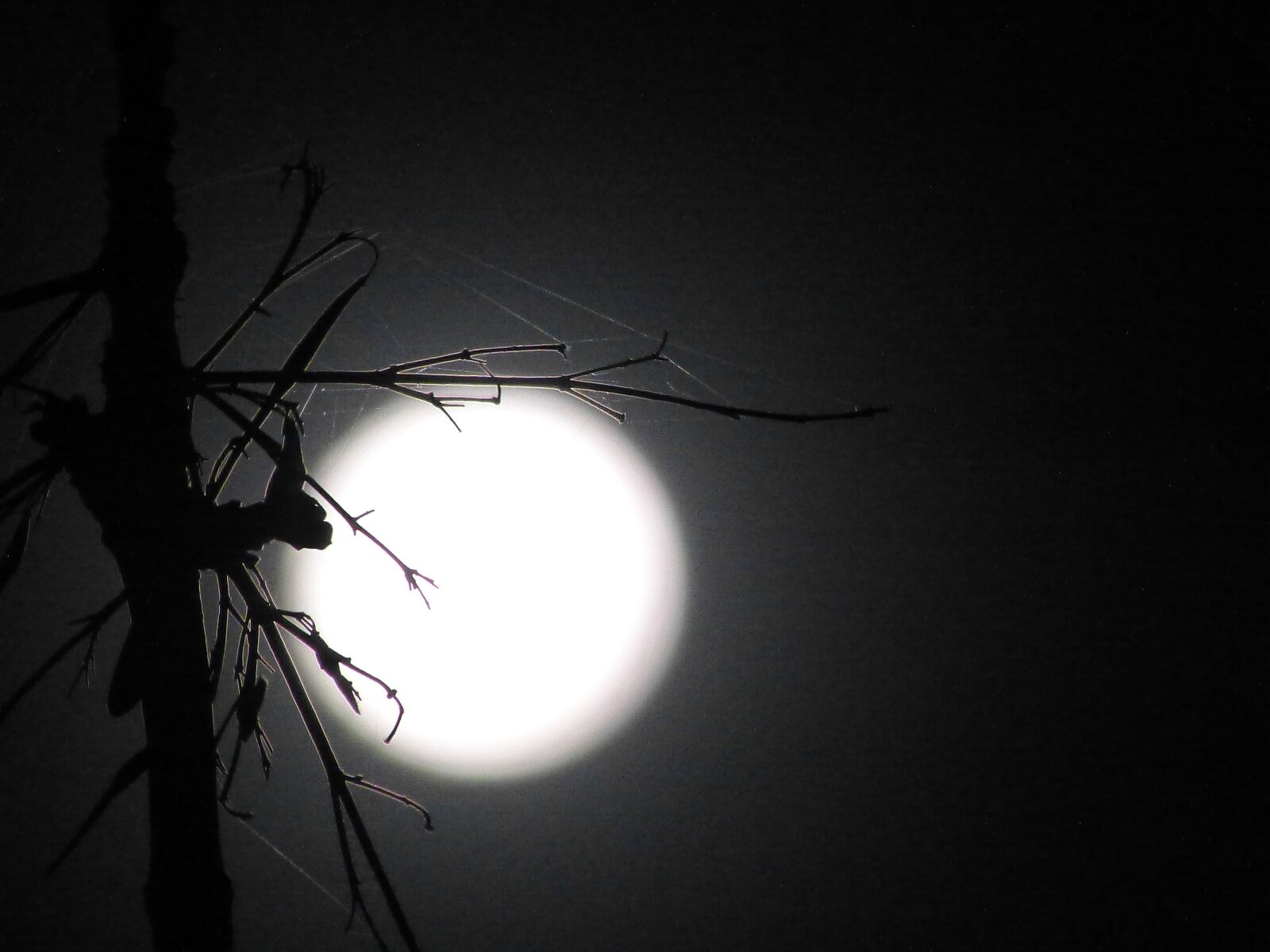 Panasonic Lumix DMC-FZ150 sample photo. Moon, shadow, light photography