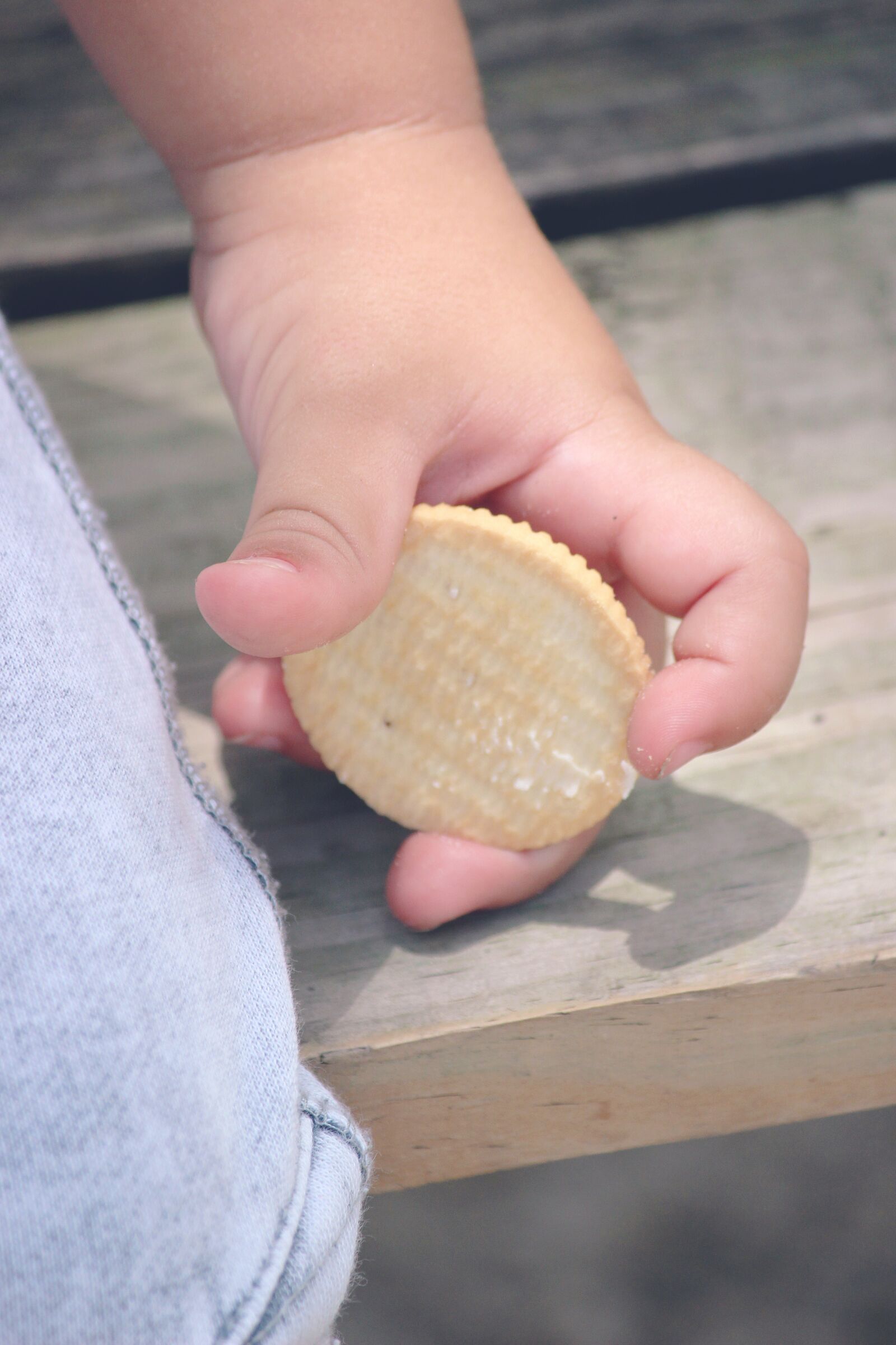 Canon EOS 600D (Rebel EOS T3i / EOS Kiss X5) sample photo. Cookie, yummy, food photography