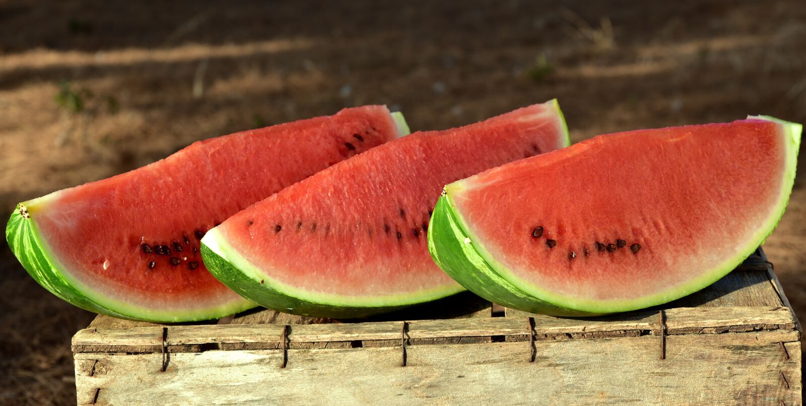 Nikon D750 sample photo. Melon, watermelon, fruit photography