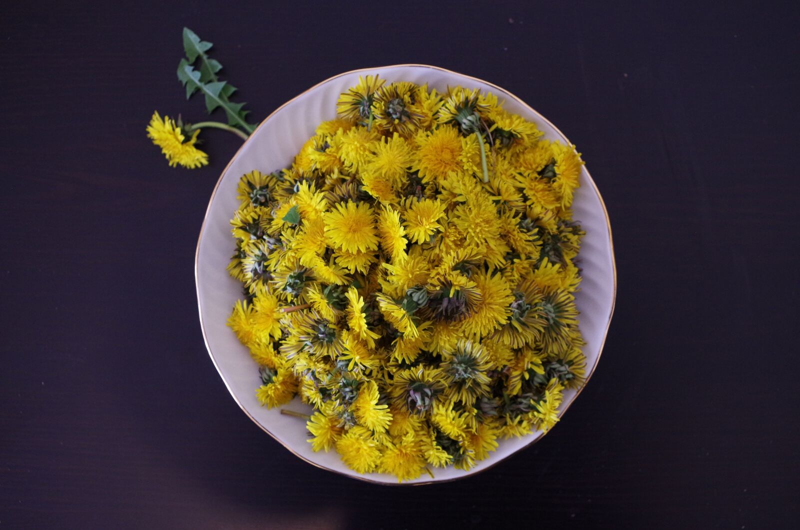 Pentax K-500 sample photo. Dandelion, health, salad photography