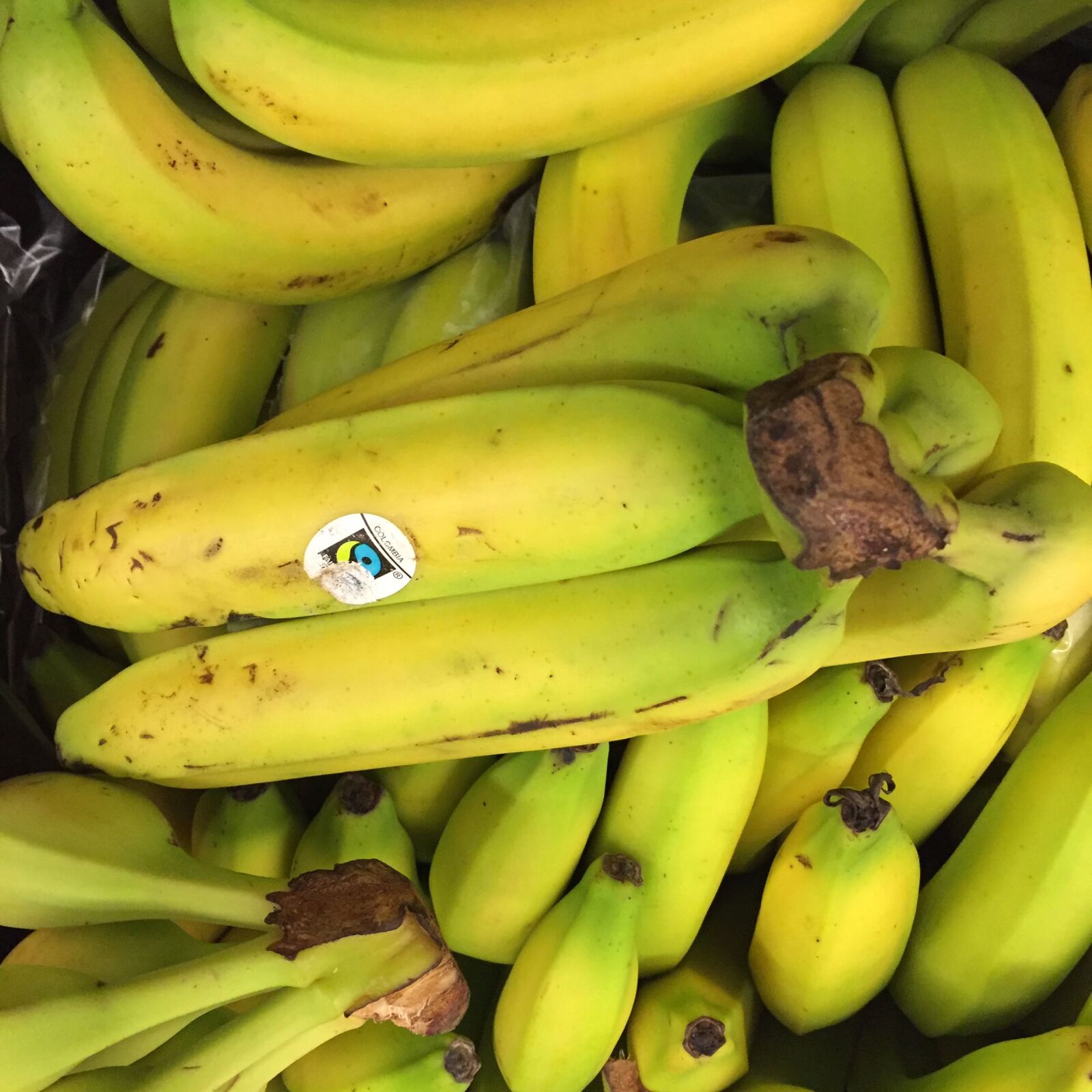 Apple iPhone 6 sample photo. Banana photography