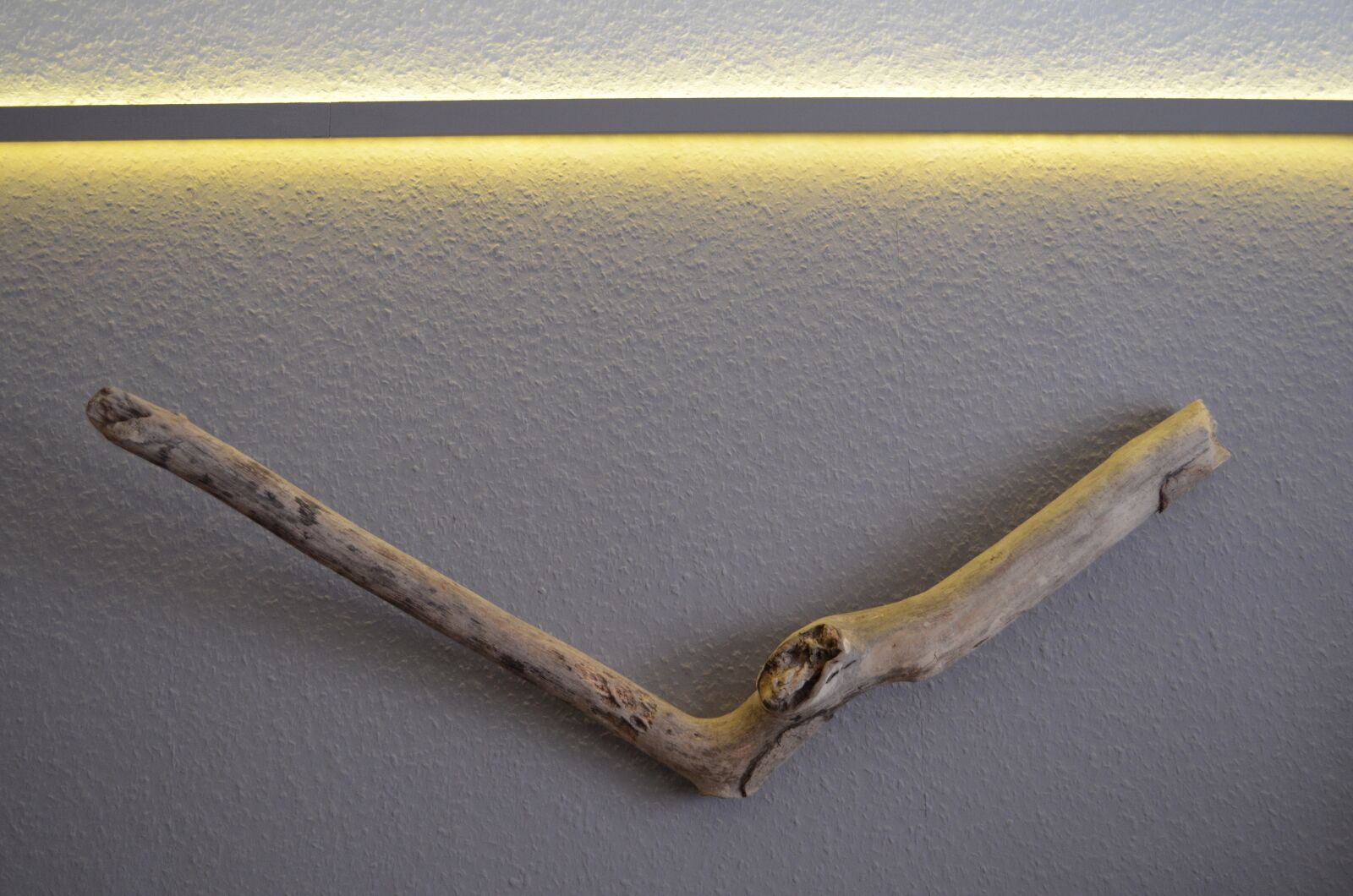 Nikon D5100 sample photo. Drift wood, wood, antler photography