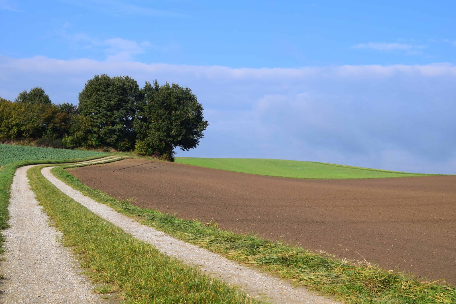 Nikon D3300 sample photo. Blue sky, countryside, nature photography