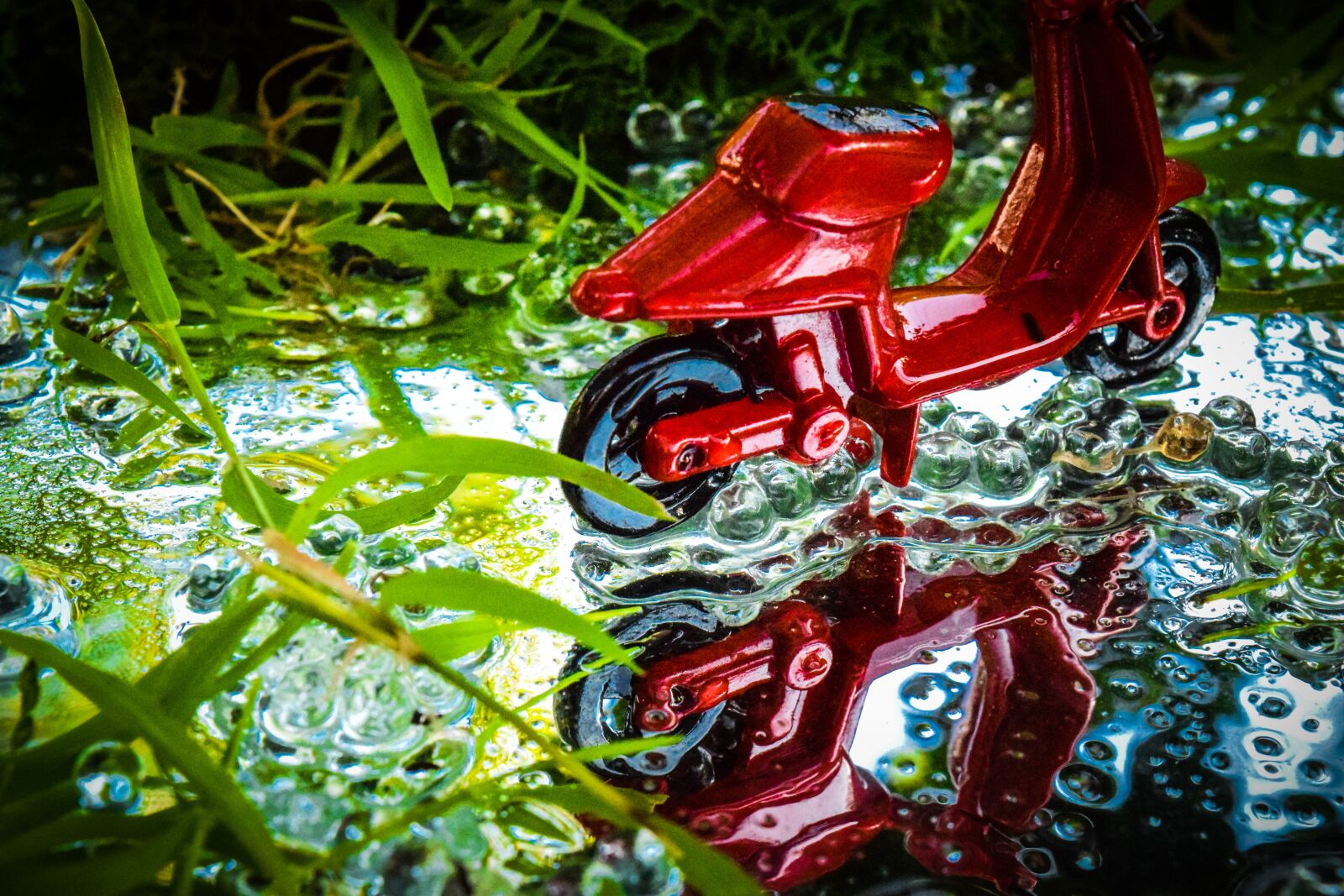 Nikon D3300 sample photo. Motorcycle, grass, water photography