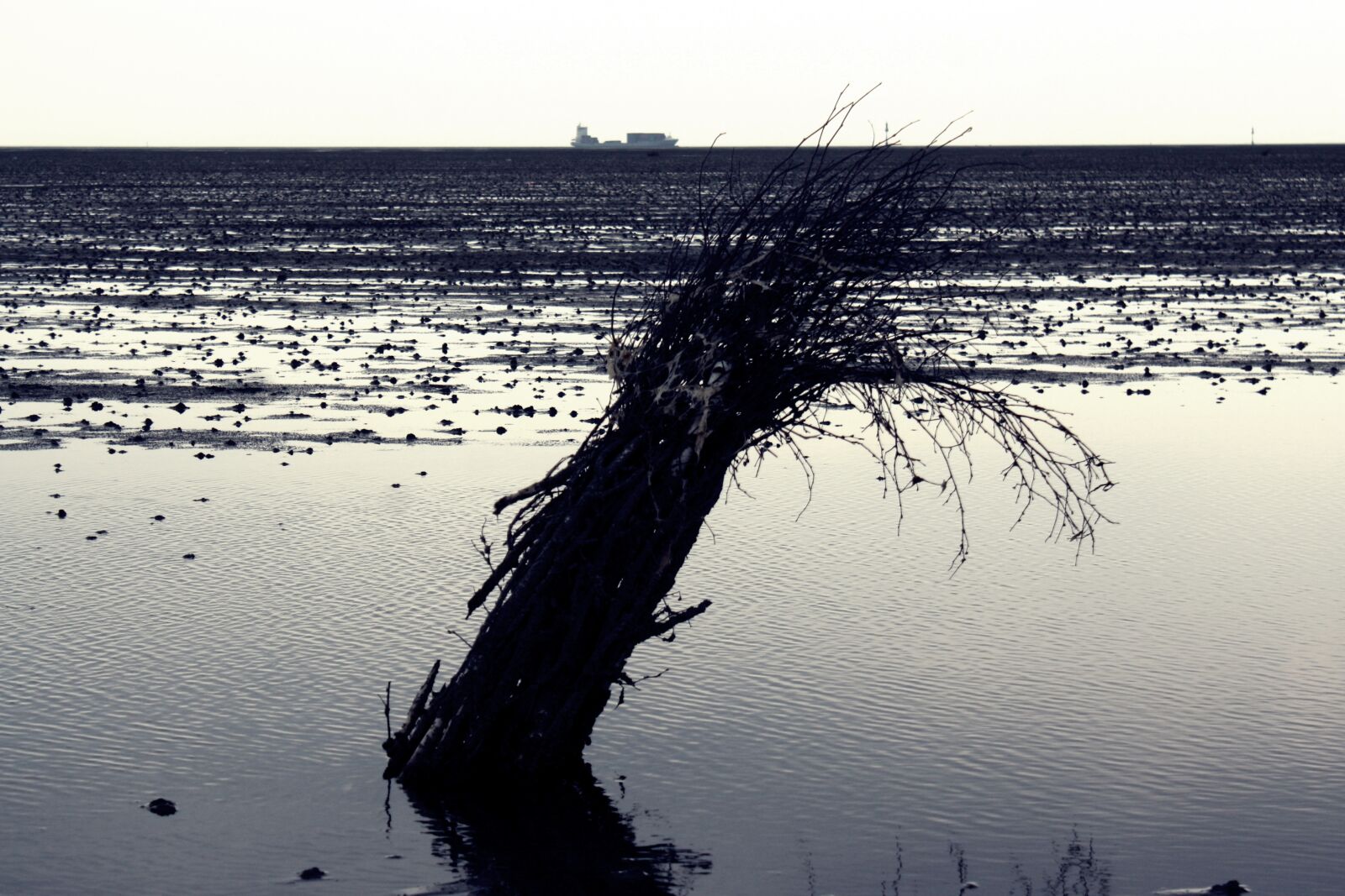Canon EOS 1000D (EOS Digital Rebel XS / EOS Kiss F) sample photo. North sea, cuxhaven, wadden photography