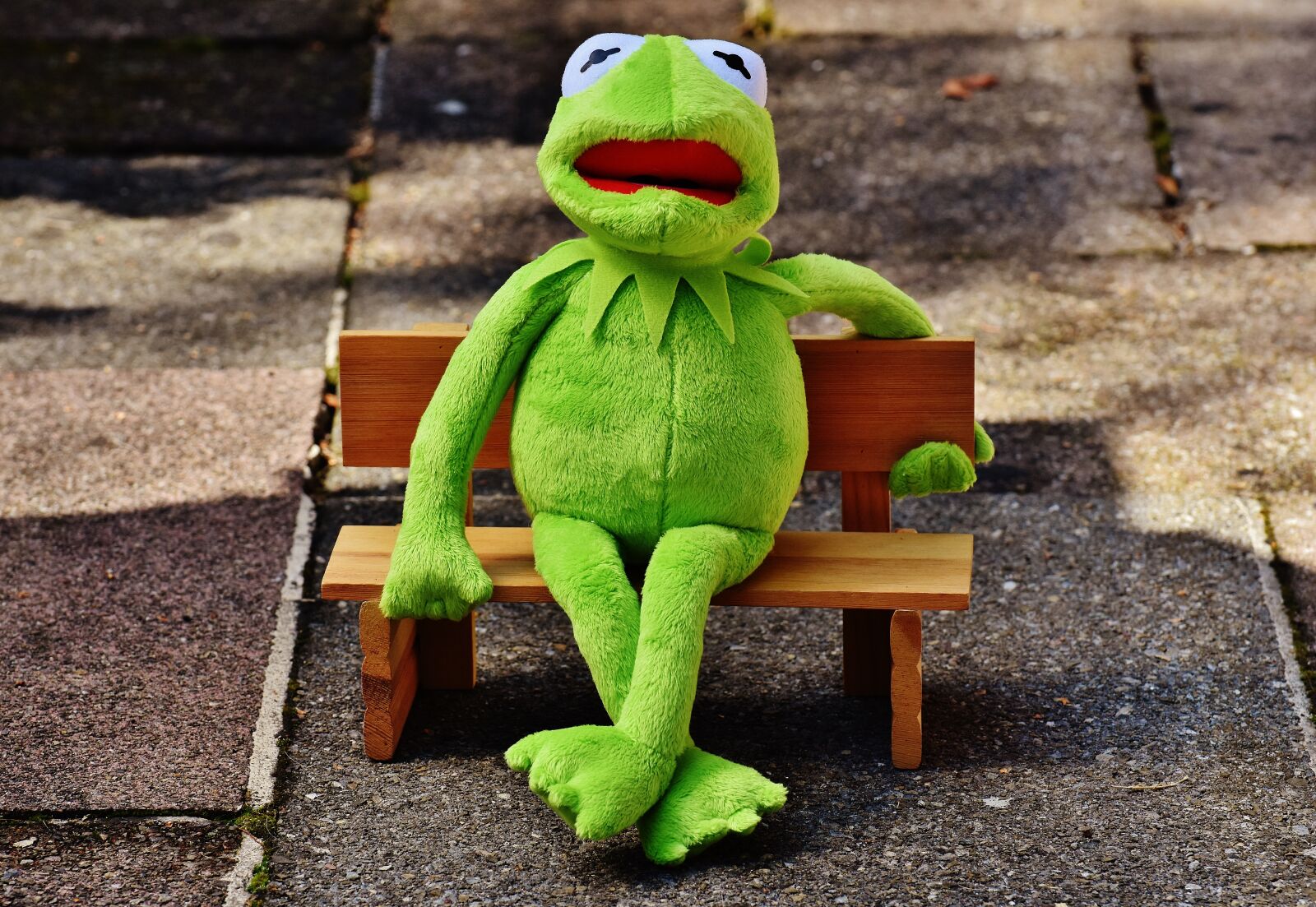 Nikon D7200 sample photo. Kermit, frog, bank photography