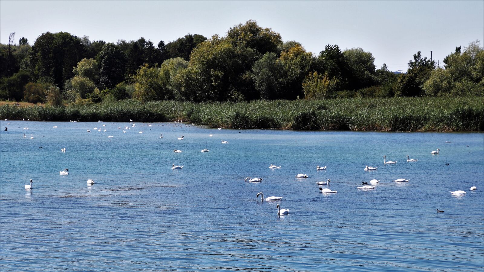 Canon EOS 80D sample photo. Relaxation, on the water photography