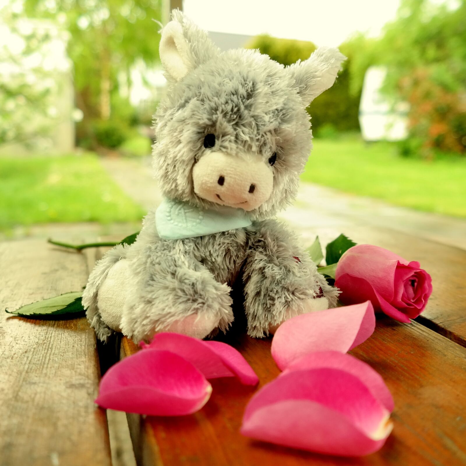 Samsung NX300M sample photo. Donkey, teddy bear, soft photography