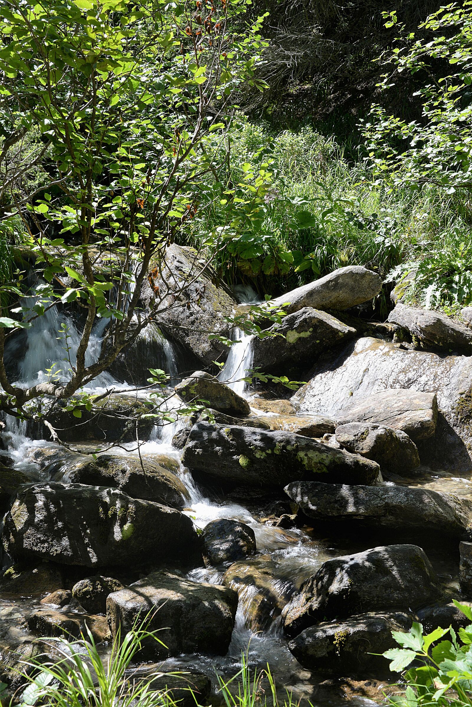 Nikon D610 sample photo. Bach, stones, water photography