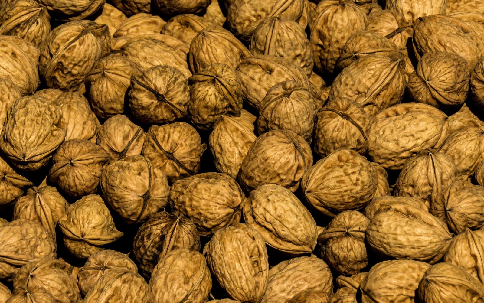 Canon PowerShot SX710 HS sample photo. Nuts, nut, walnut photography