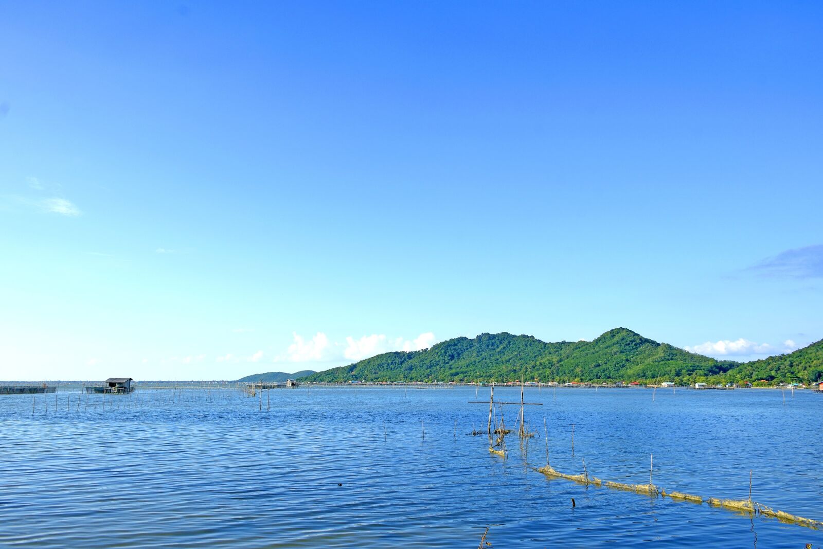 Nikon D5300 sample photo. Asia, asian, blue photography