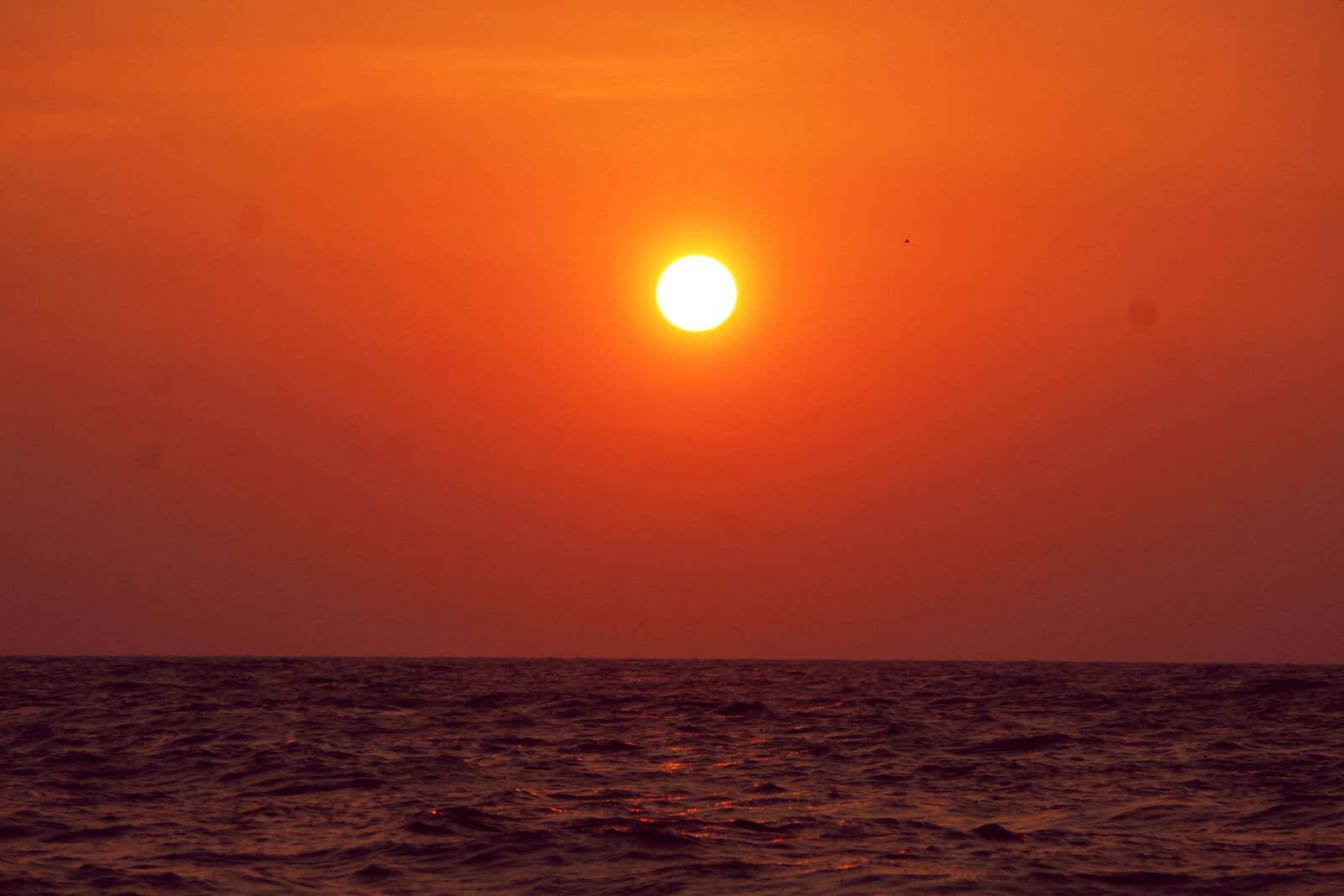 Canon EF-S 55-250mm F4-5.6 IS II sample photo. Buty, of, earth photography