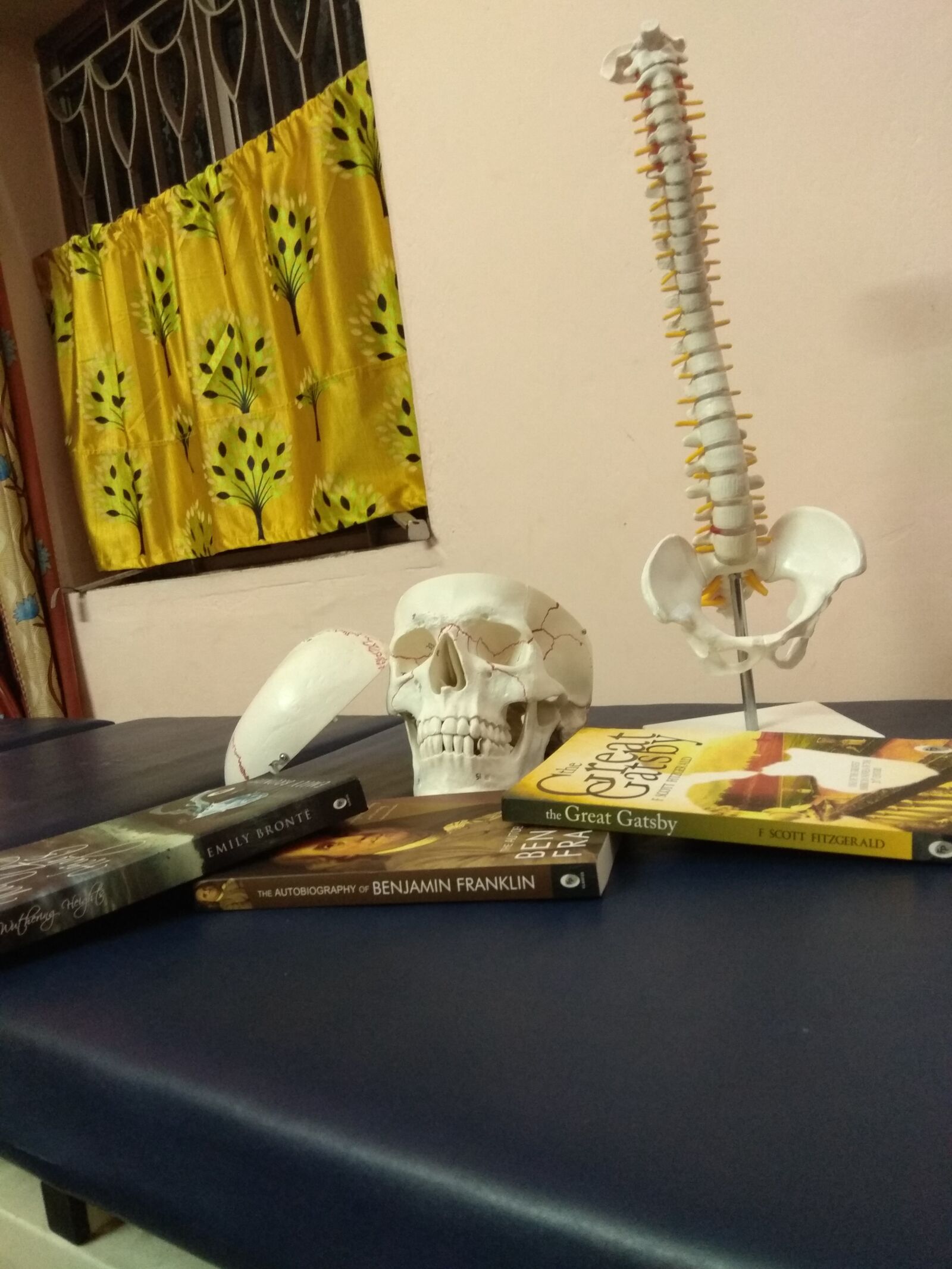 Xiaomi Redmi Note 4 sample photo. Skeleton, bone, book photography