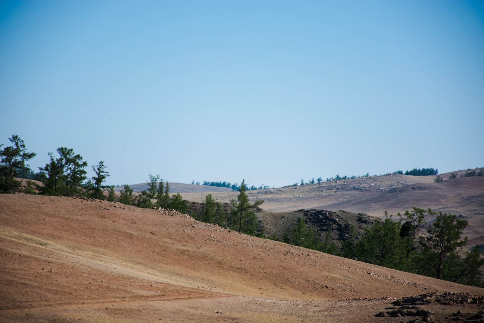 Nikon D7100 sample photo. Trees, mountain, nature photography
