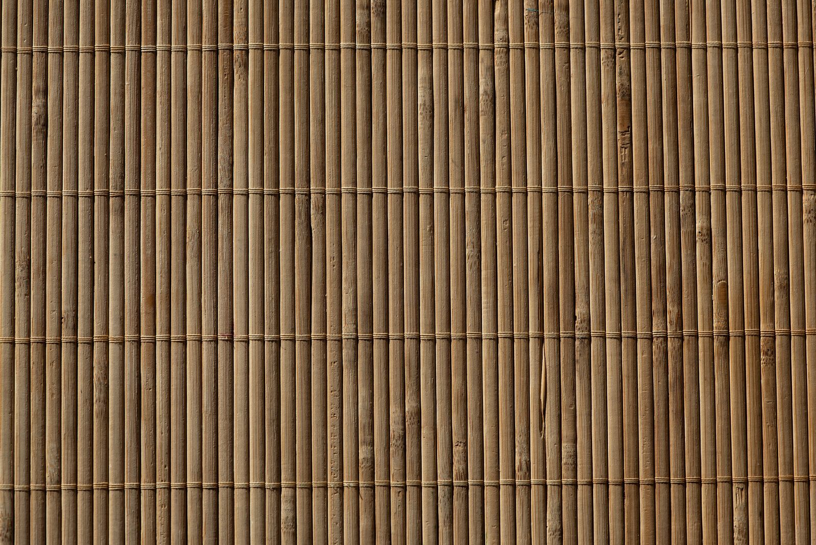 Nikon D750 sample photo. Background, brown, bamboo photography