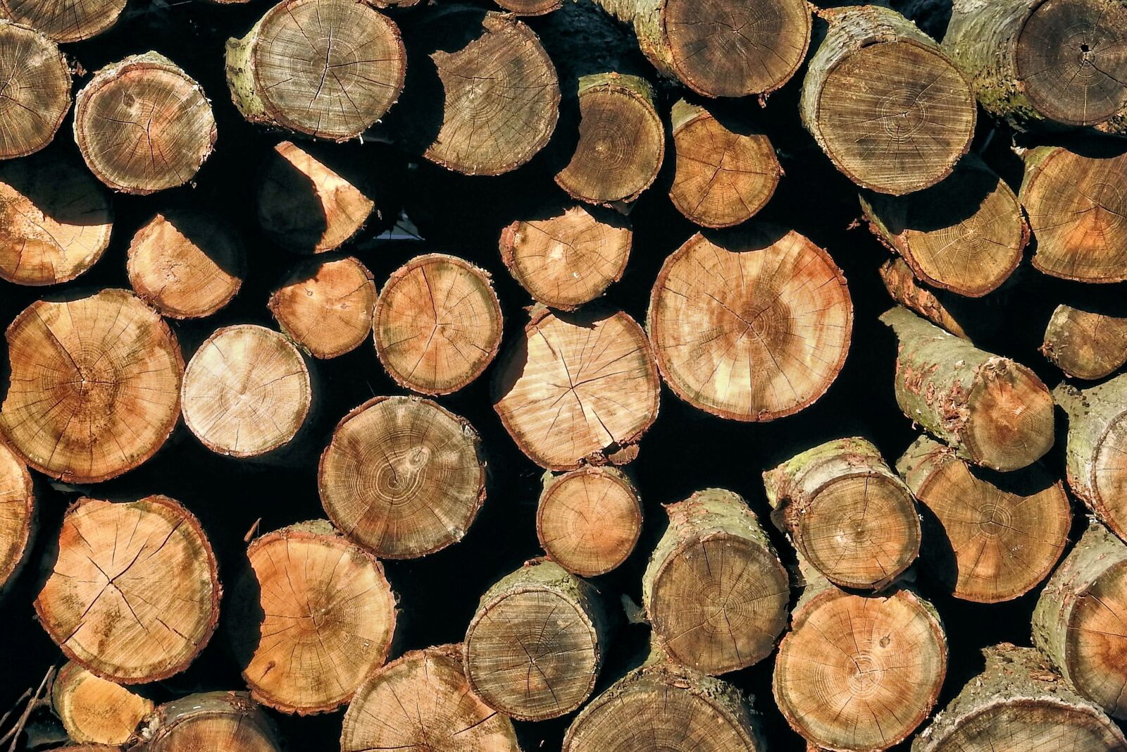 Nikon Coolpix P900 sample photo. Holzstapel, texture, wood photography