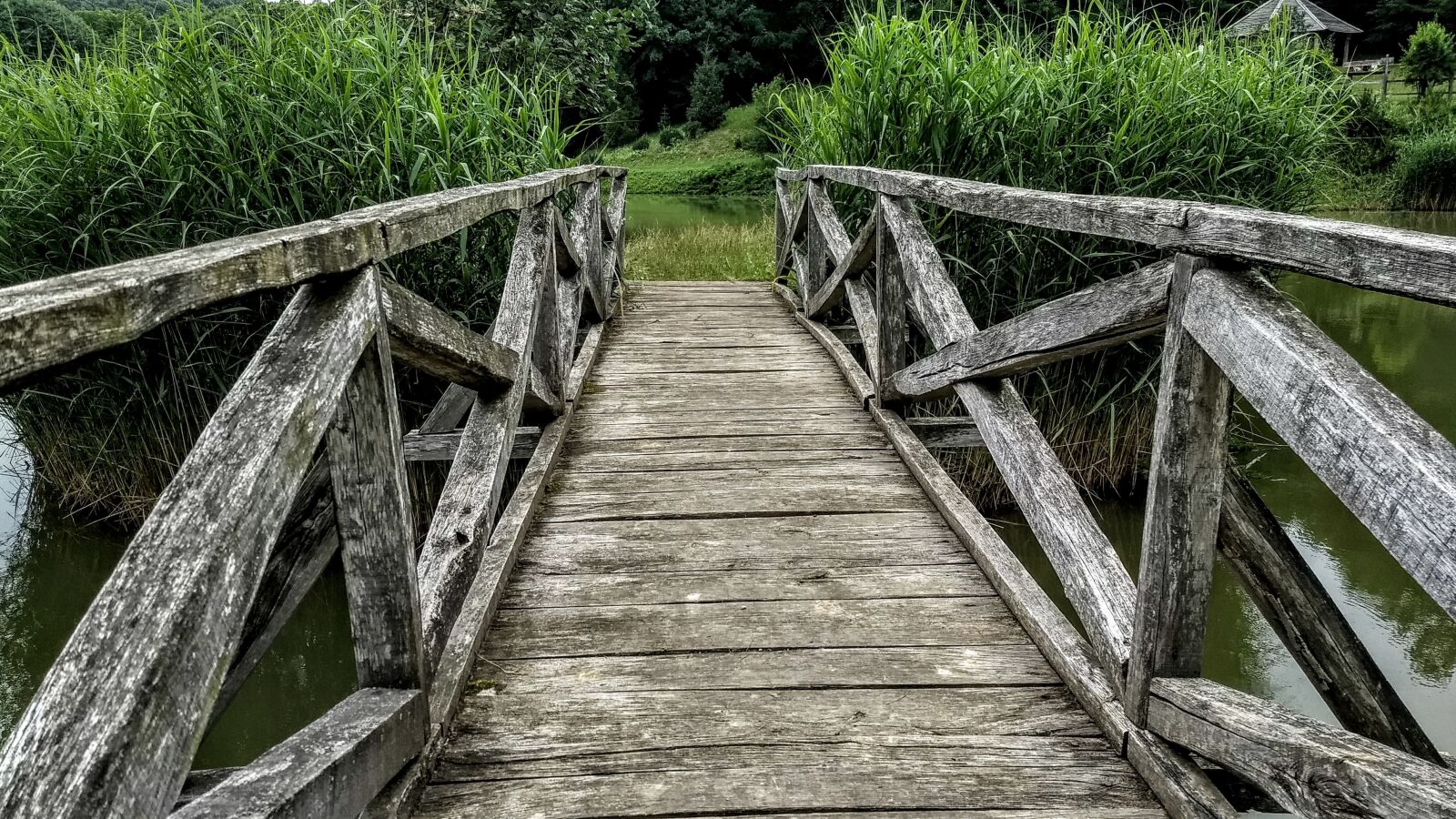 Motorola Moto G (5) Plus sample photo. Bridge, wooden, old photography
