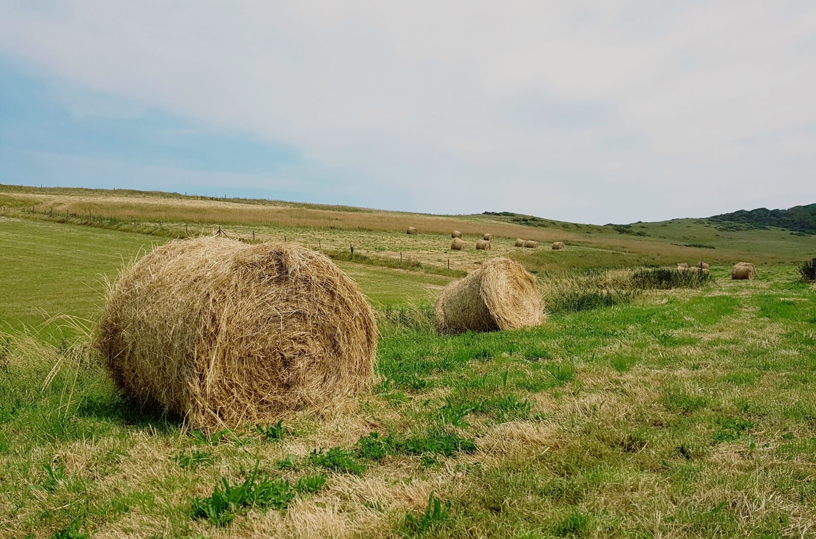 Samsung Galaxy S7 sample photo. Hay bales, hay, pasture photography