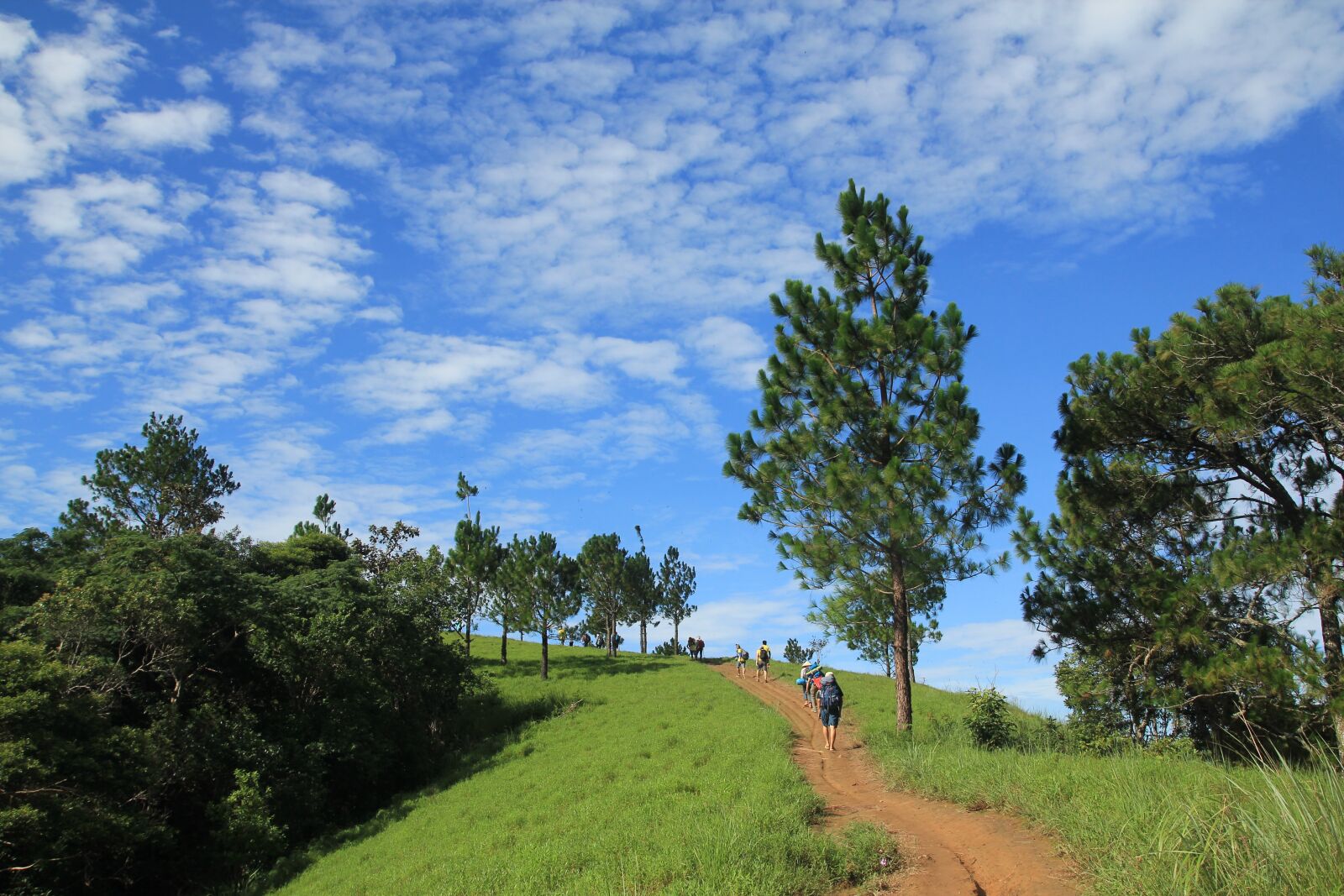 Canon EOS 60D sample photo. Spring, hill, landscape photography
