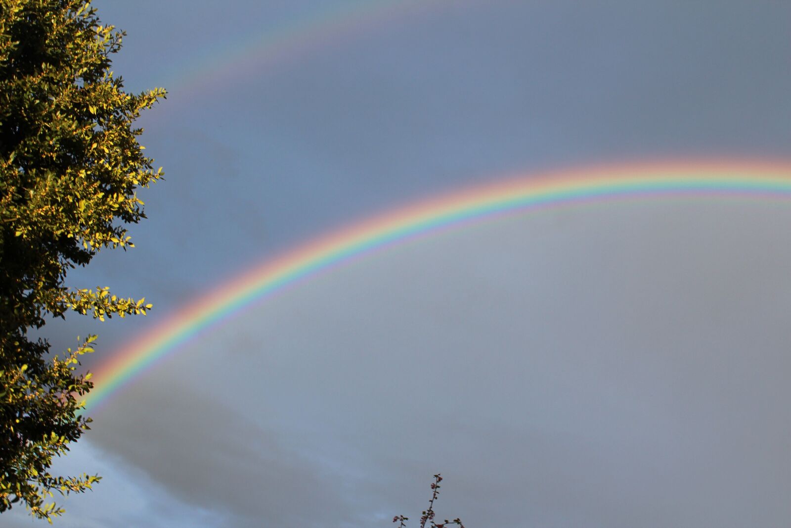 Canon EOS 600D (Rebel EOS T3i / EOS Kiss X5) sample photo. Rainbow, double, double rainbow photography