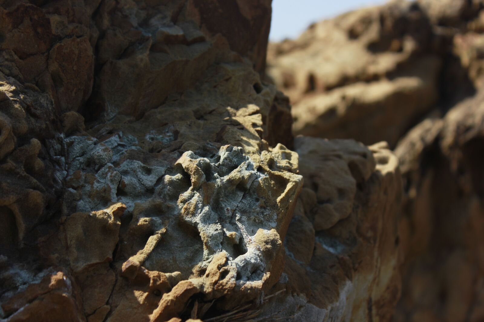 Canon EOS 550D (EOS Rebel T2i / EOS Kiss X4) sample photo. Rock, nature, background photography