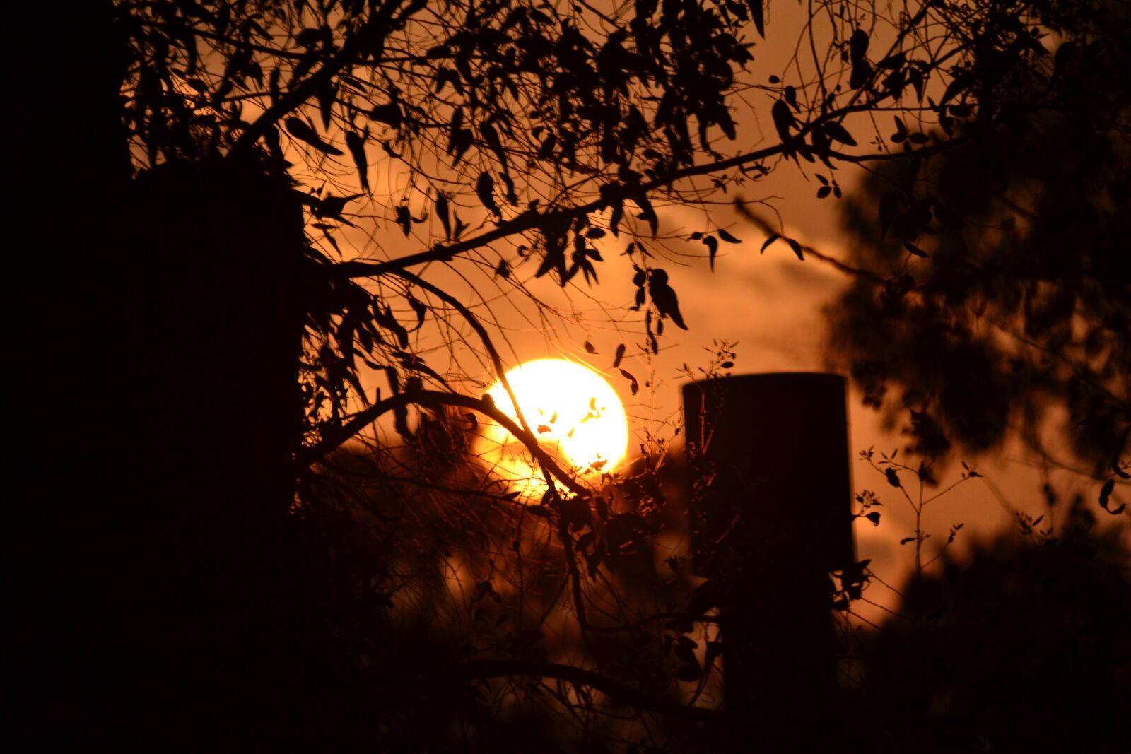 Nikon D3100 sample photo. Dawn, output sun, sun photography