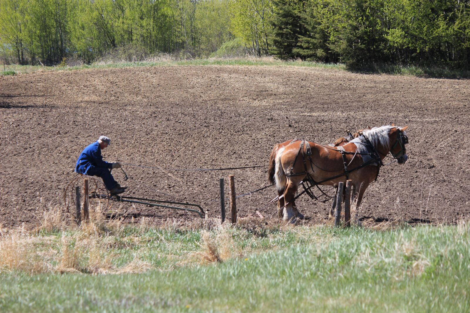 Canon EOS 600D (Rebel EOS T3i / EOS Kiss X5) sample photo. Farming, field, agriculture photography