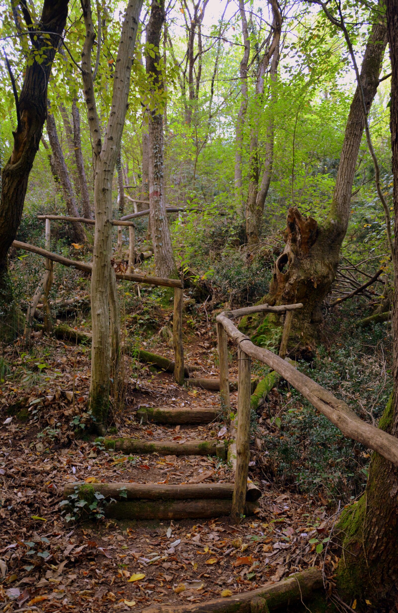 Nikon D7100 sample photo. Stairs, wood, the european photography