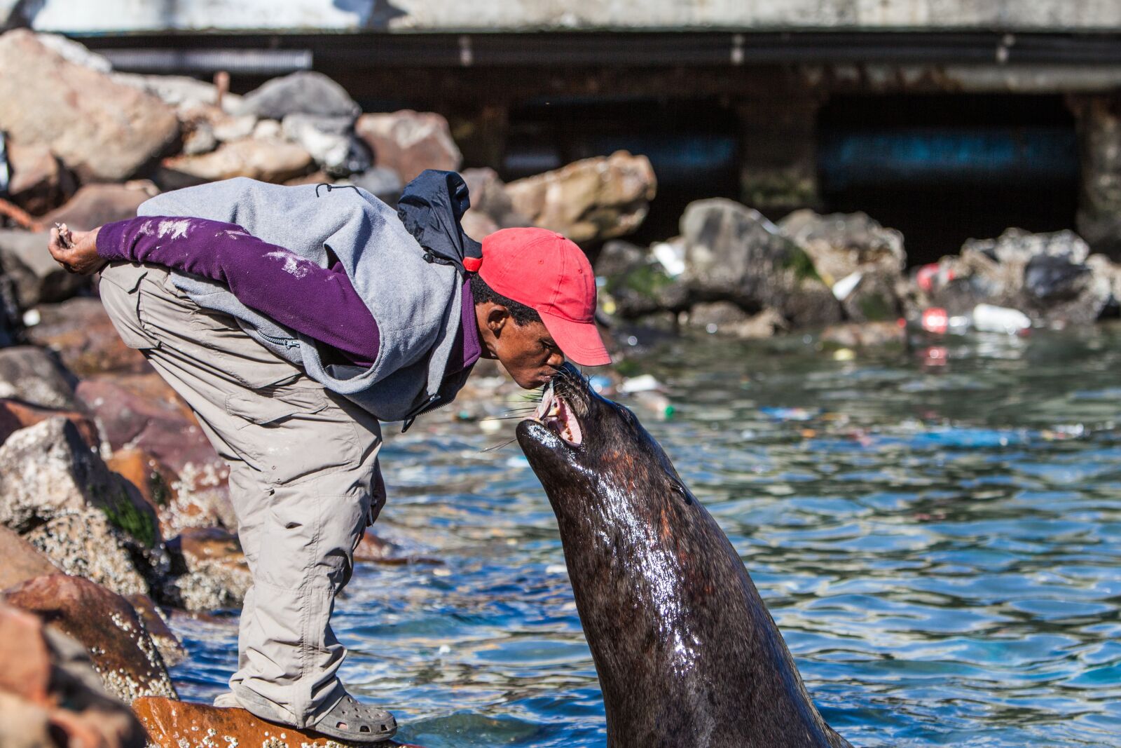 Canon EF 70-200mm F2.8L IS USM sample photo. Seal, man, food photography