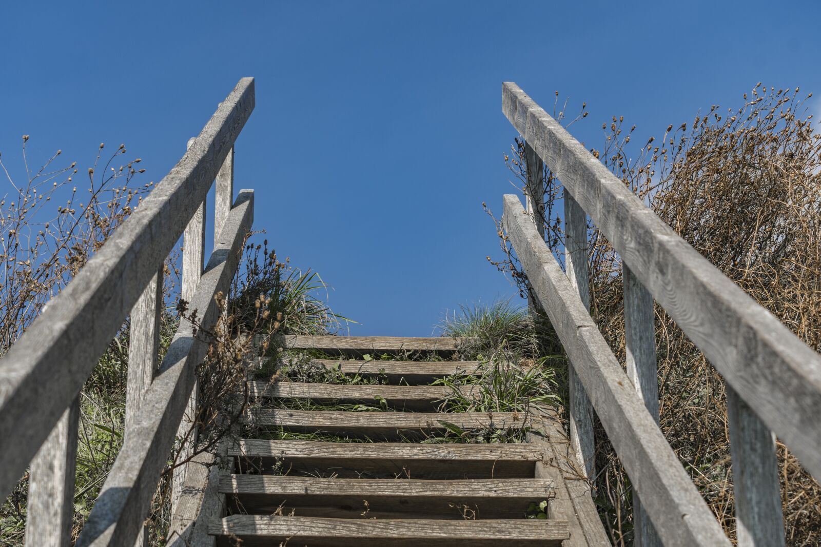Nikon D500 sample photo. Wood, level, sky photography