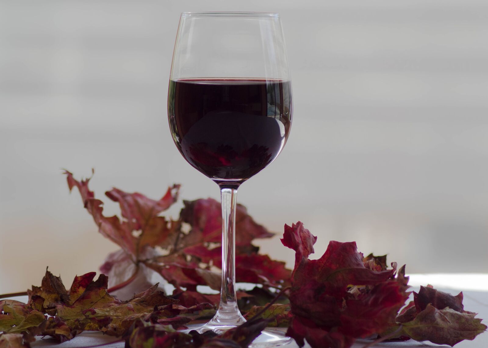 Tamron AF 70-300mm F4-5.6 Di LD Macro sample photo. Glass, wine, leaves photography