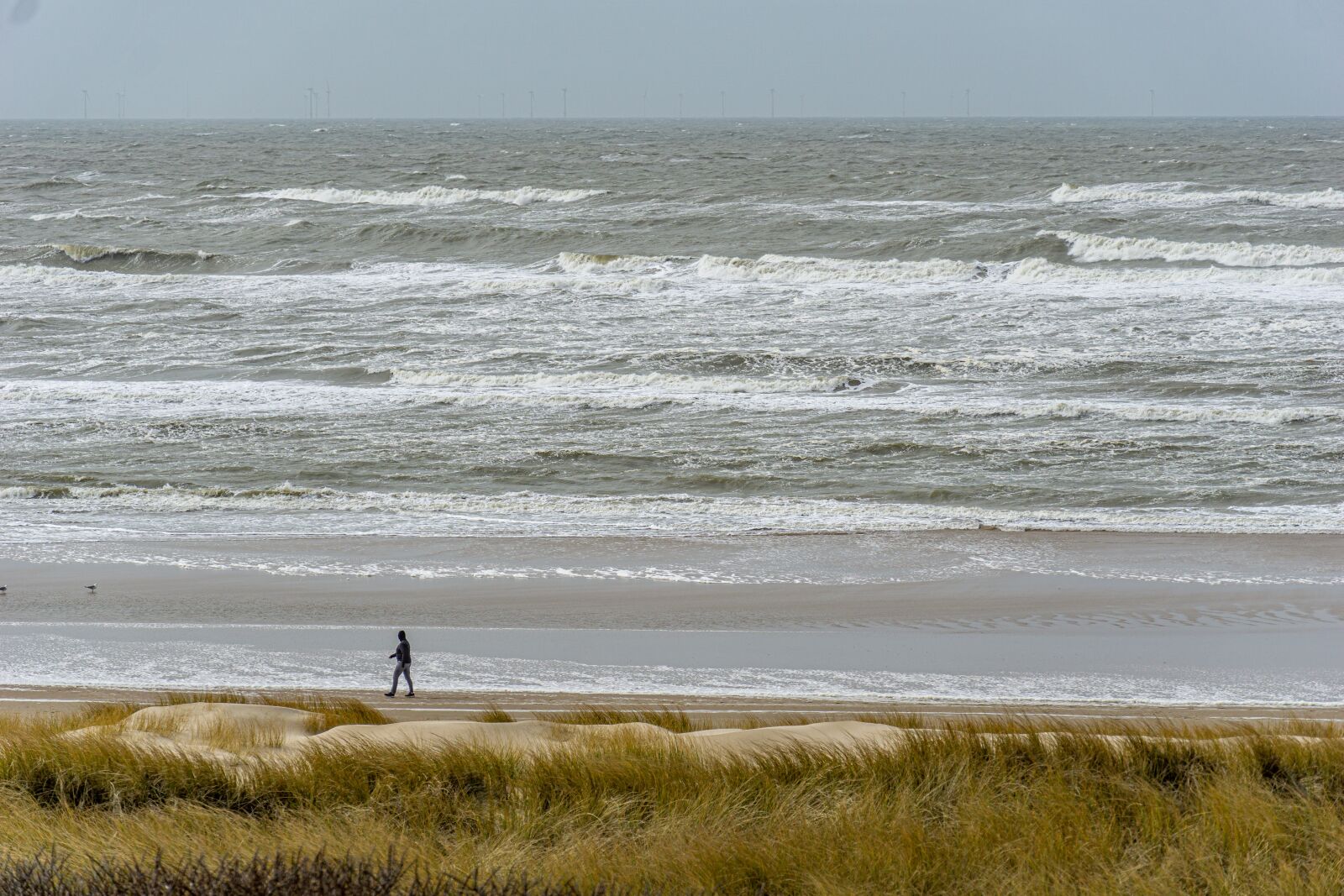 Sony a6000 sample photo. Beach, sea, bank photography