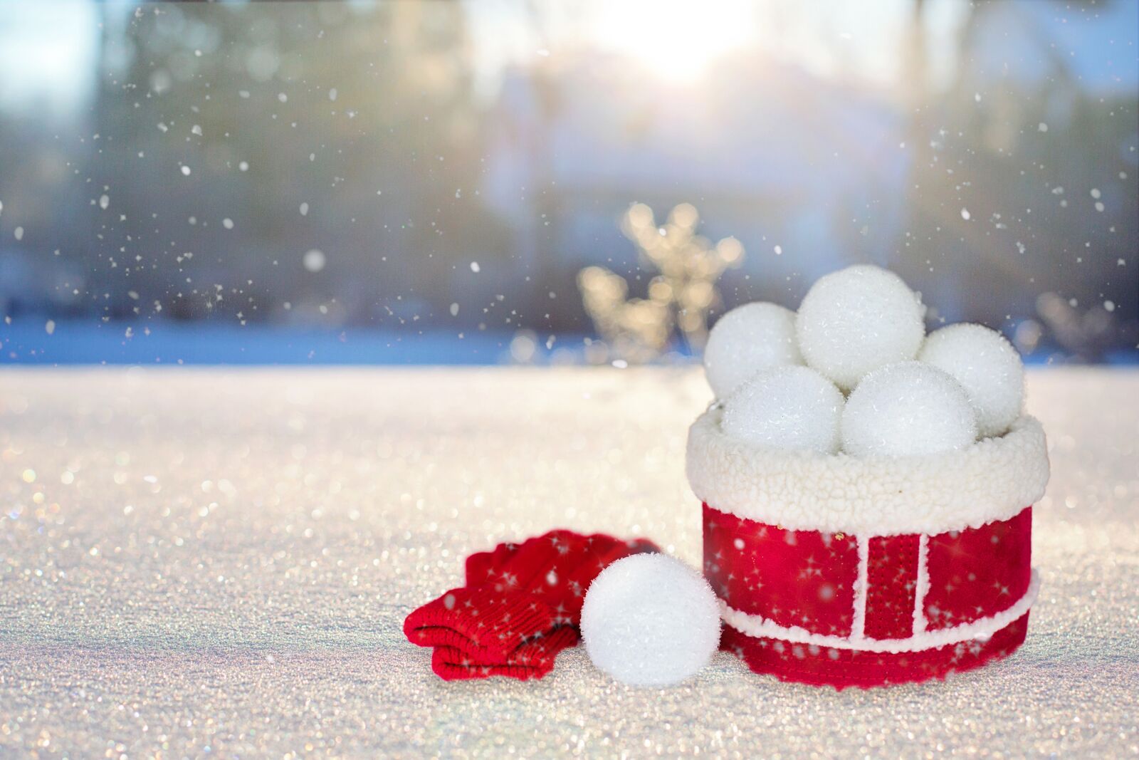 Canon EF 50mm F1.4 USM sample photo. Winter, snowballs, snow photography