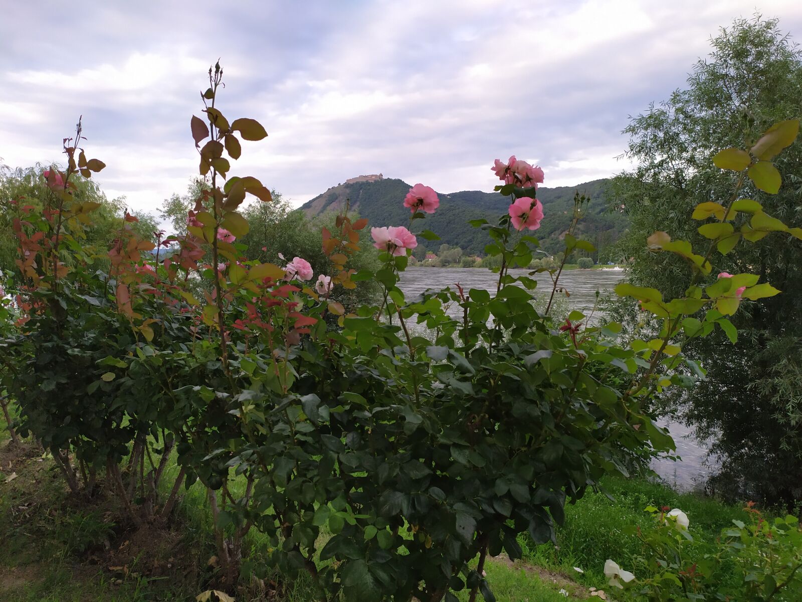 Xiaomi Redmi Note 7 sample photo. Nagymaros, danube, danube bend photography