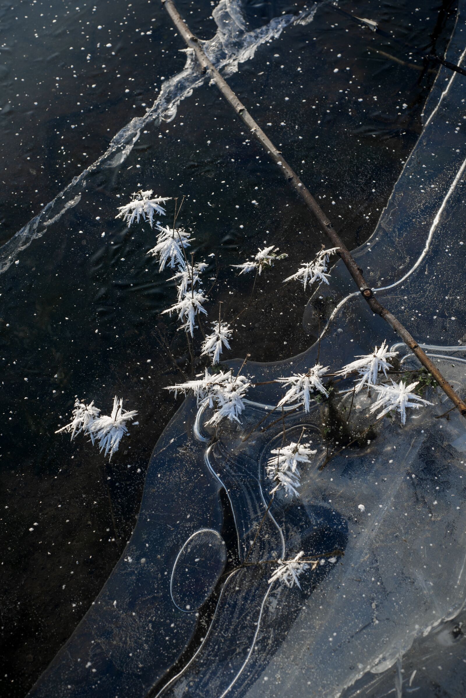 Nikon D610 sample photo. Ice, snow, cold photography