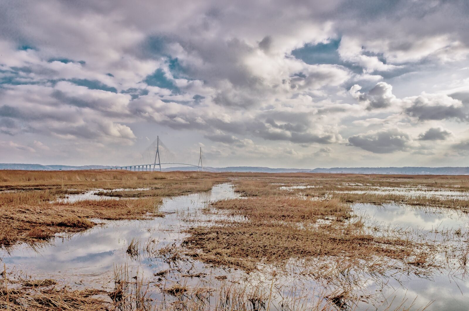Nikon D7000 sample photo. Reed bed, normandy bridge photography