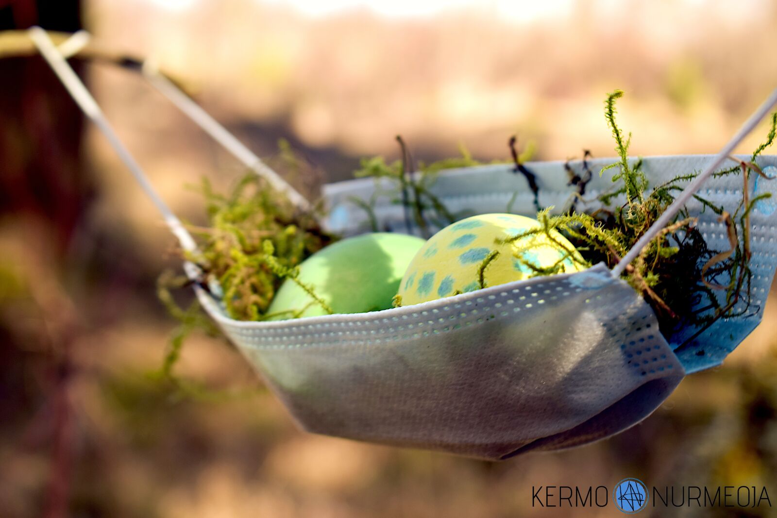 Nikon D5300 sample photo. Corona, eggs, easter photography