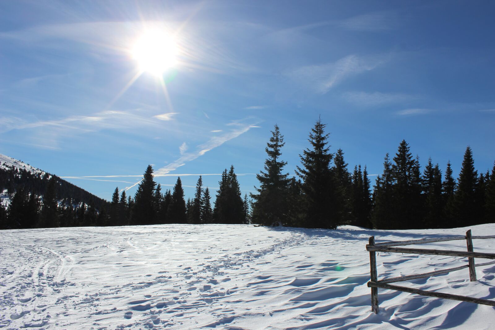 Canon EOS 600D (Rebel EOS T3i / EOS Kiss X5) sample photo. Winter, wonderland, snow photography